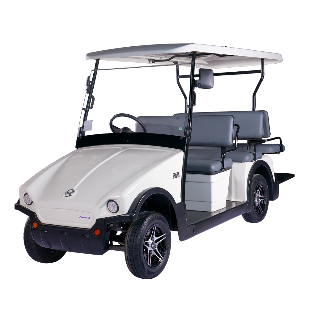  Golf Cart 6 Seater Back To Back Electric Buggy (RT-G-A4+2)