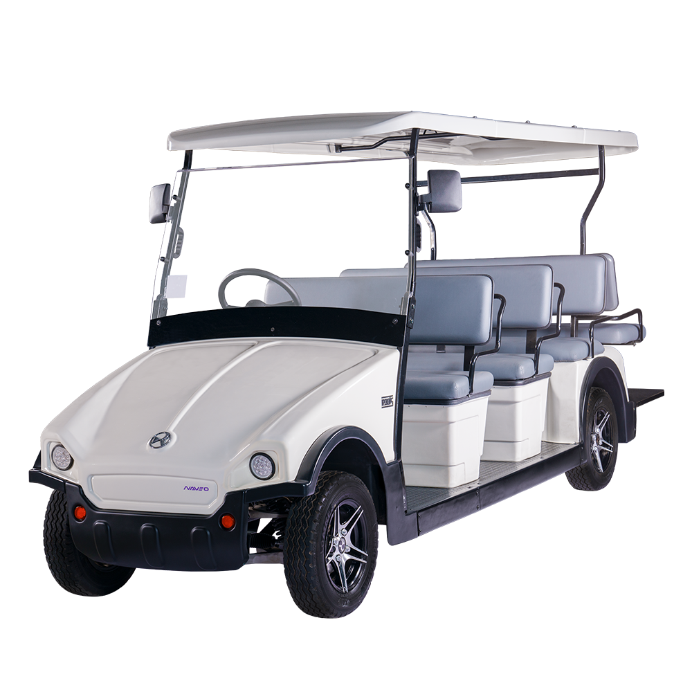 4 Seater + Cargo Electric Buggy (RT-G-A4+C)