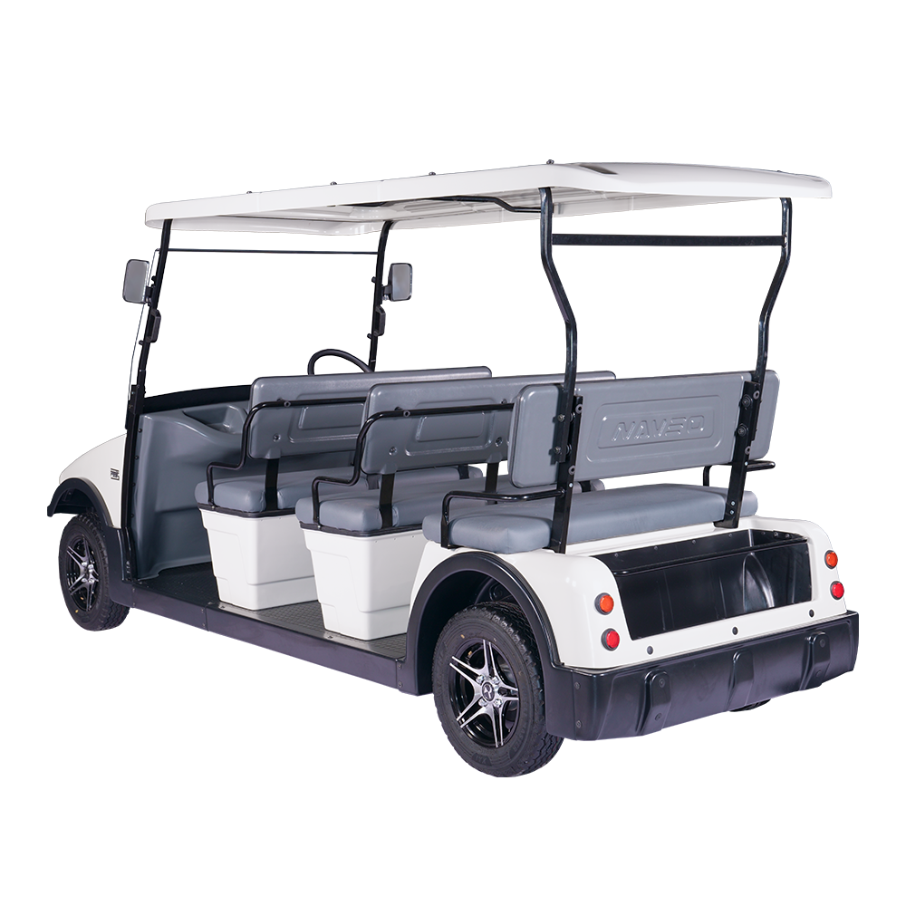 8 Seater Electric Buggy (RT-G-A8)