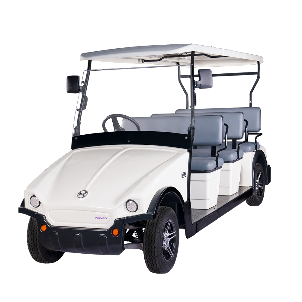 8 Seater Electric Buggy (RT-G-A8)