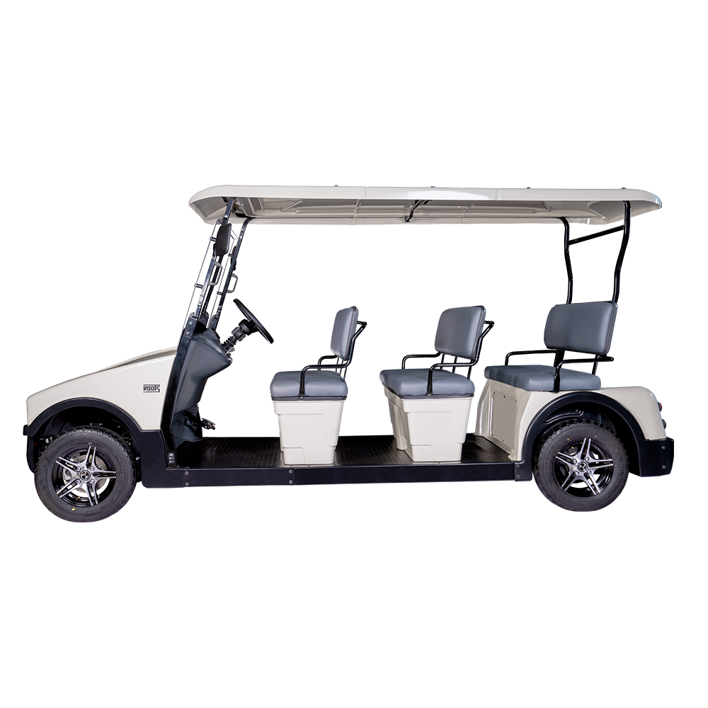 8 Seater Electric Buggy (RT-G-A8)