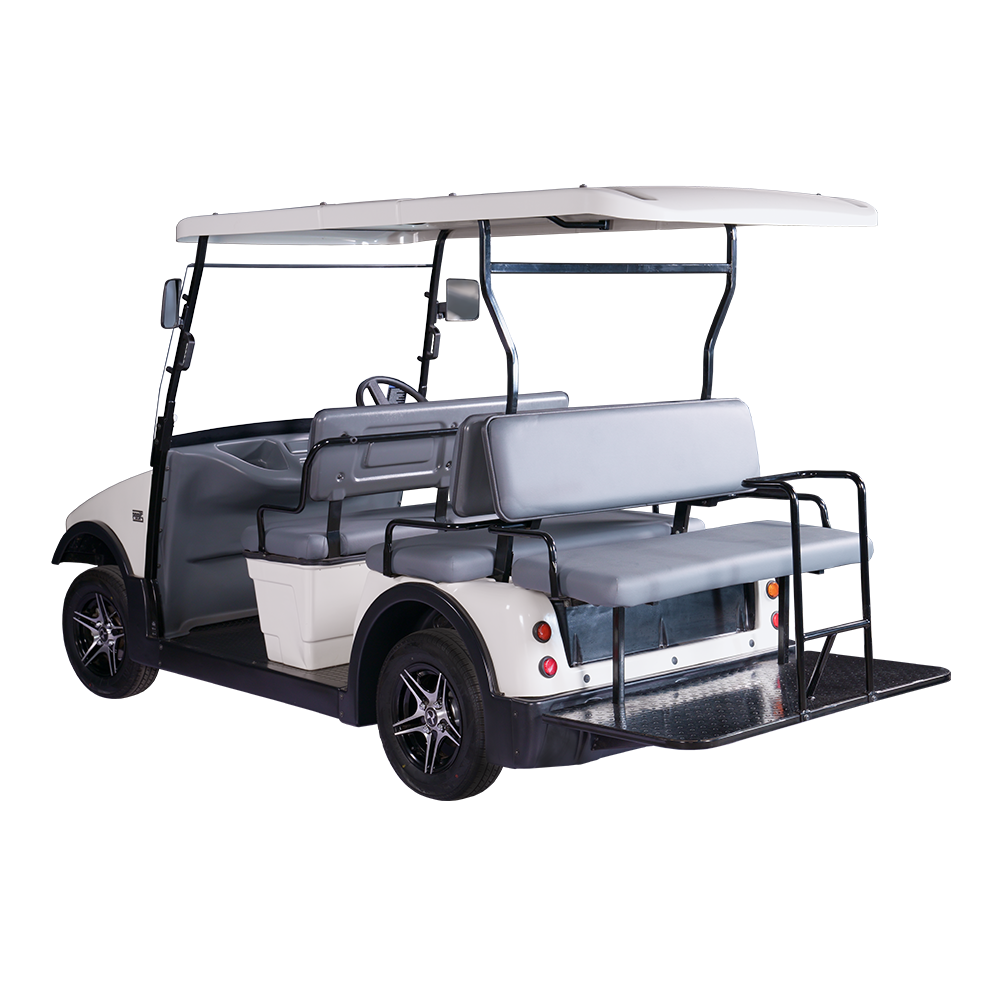  Golf Cart 6 Seater Back To Back Electric Buggy (RT-G-A4+2)