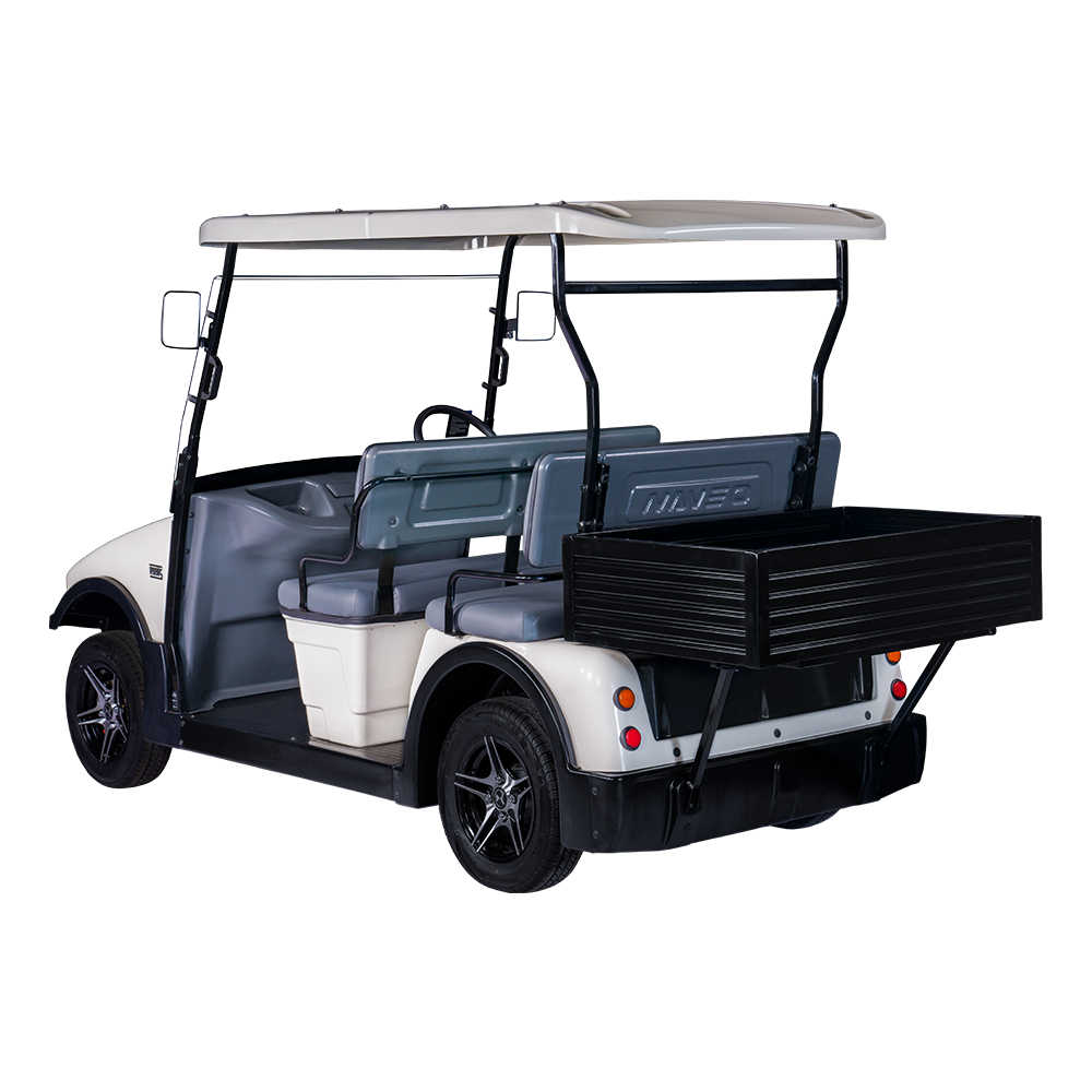 4 Seater + Cargo Electric Buggy (RT-G-A4+C)