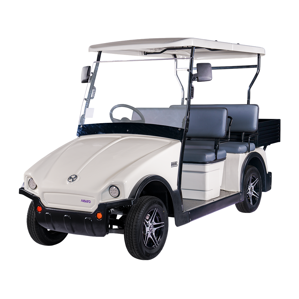 4 Seater + Cargo Electric Buggy (RT-G-A4+C)