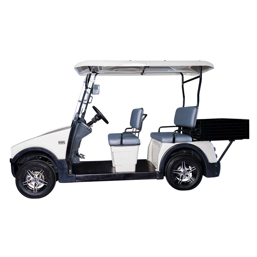4 Seater + Cargo Electric Buggy (RT-G-A4+C)