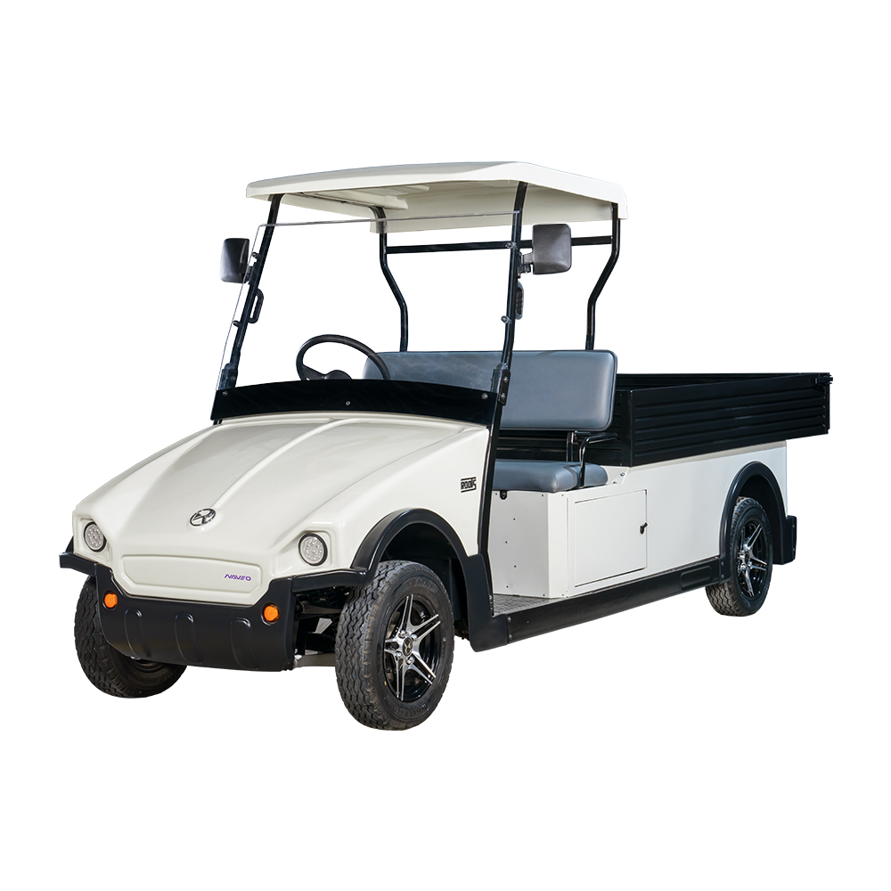 2 Seater Golf Cart With Long Cargo