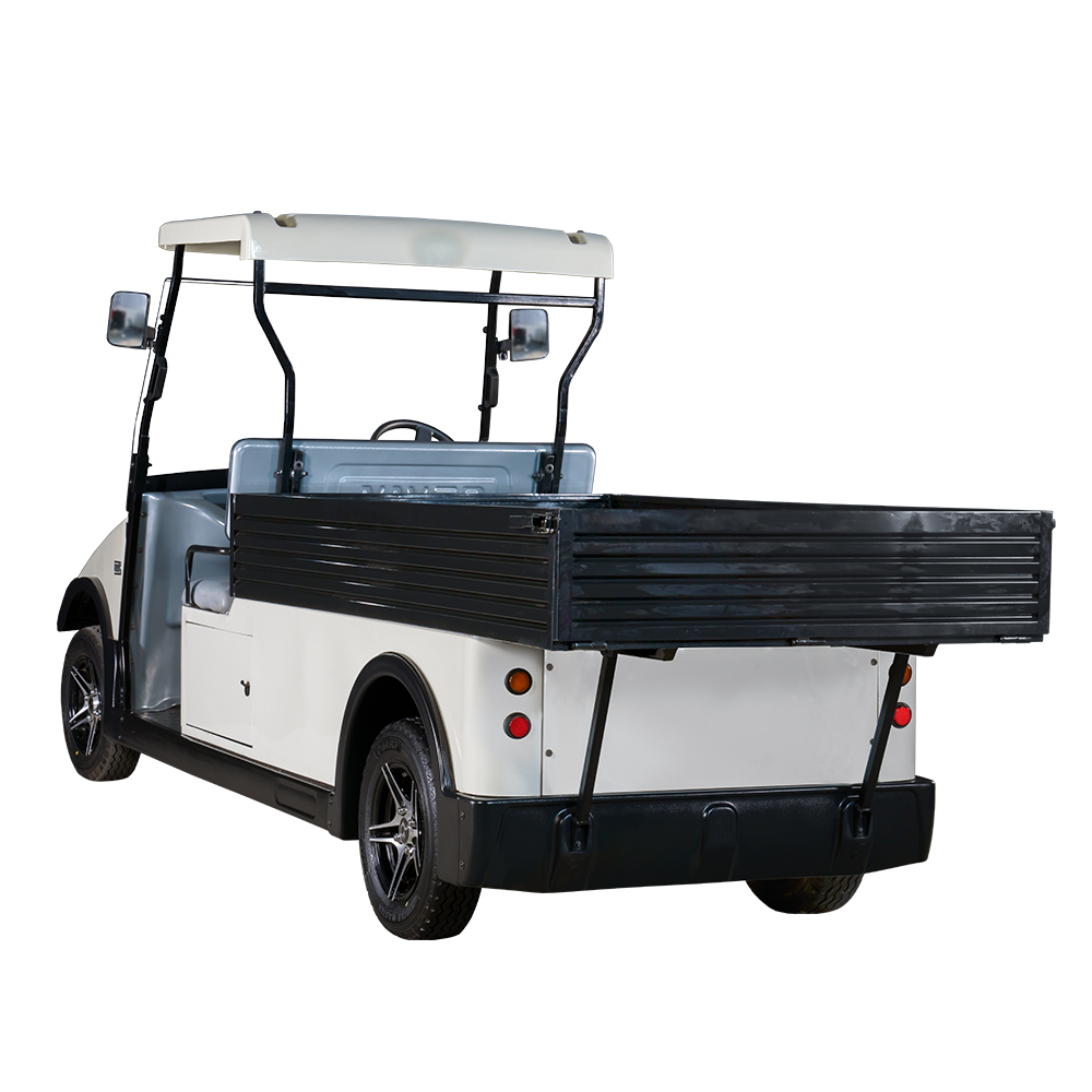 2 Seater Golf Cart With Long Cargo