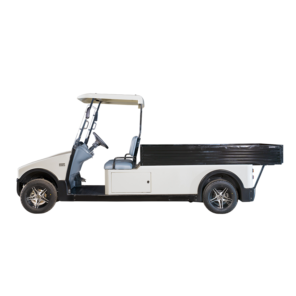 2 Seater Golf Cart With Long Cargo