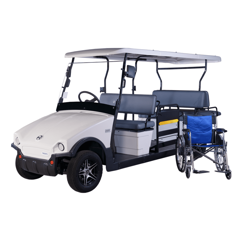 11 Seater Back To Back Electric Buggy (RT-G-A8+3)