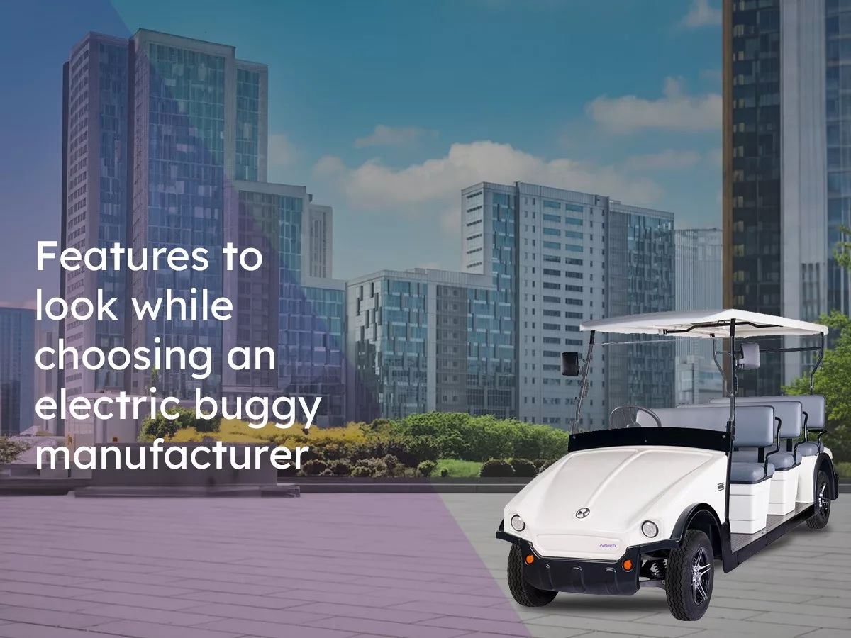 Features to look for choosing an electric buggy manufacturer
