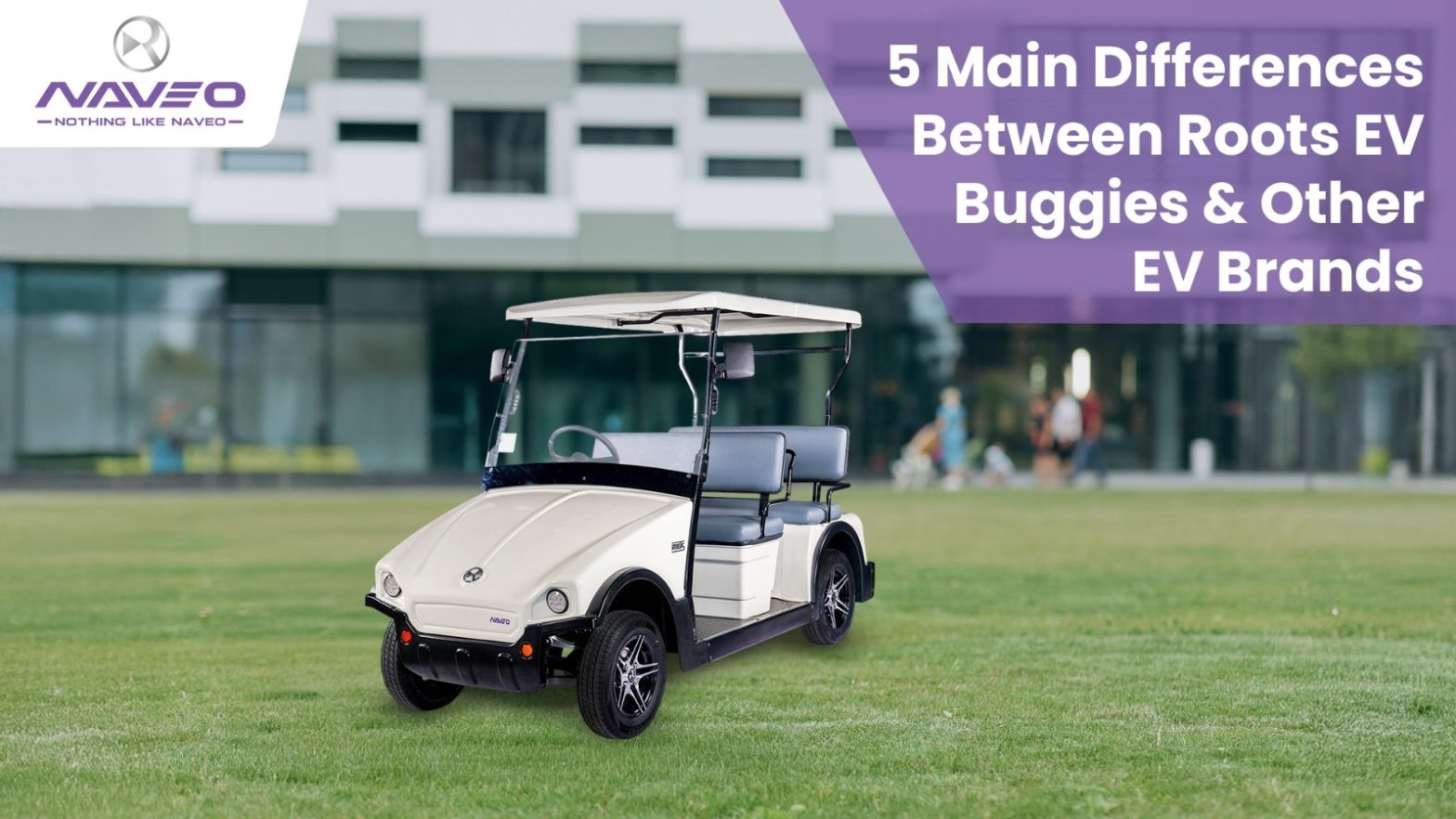 5 Main Differences Between Roots EV Buggies & Other EV Brands.