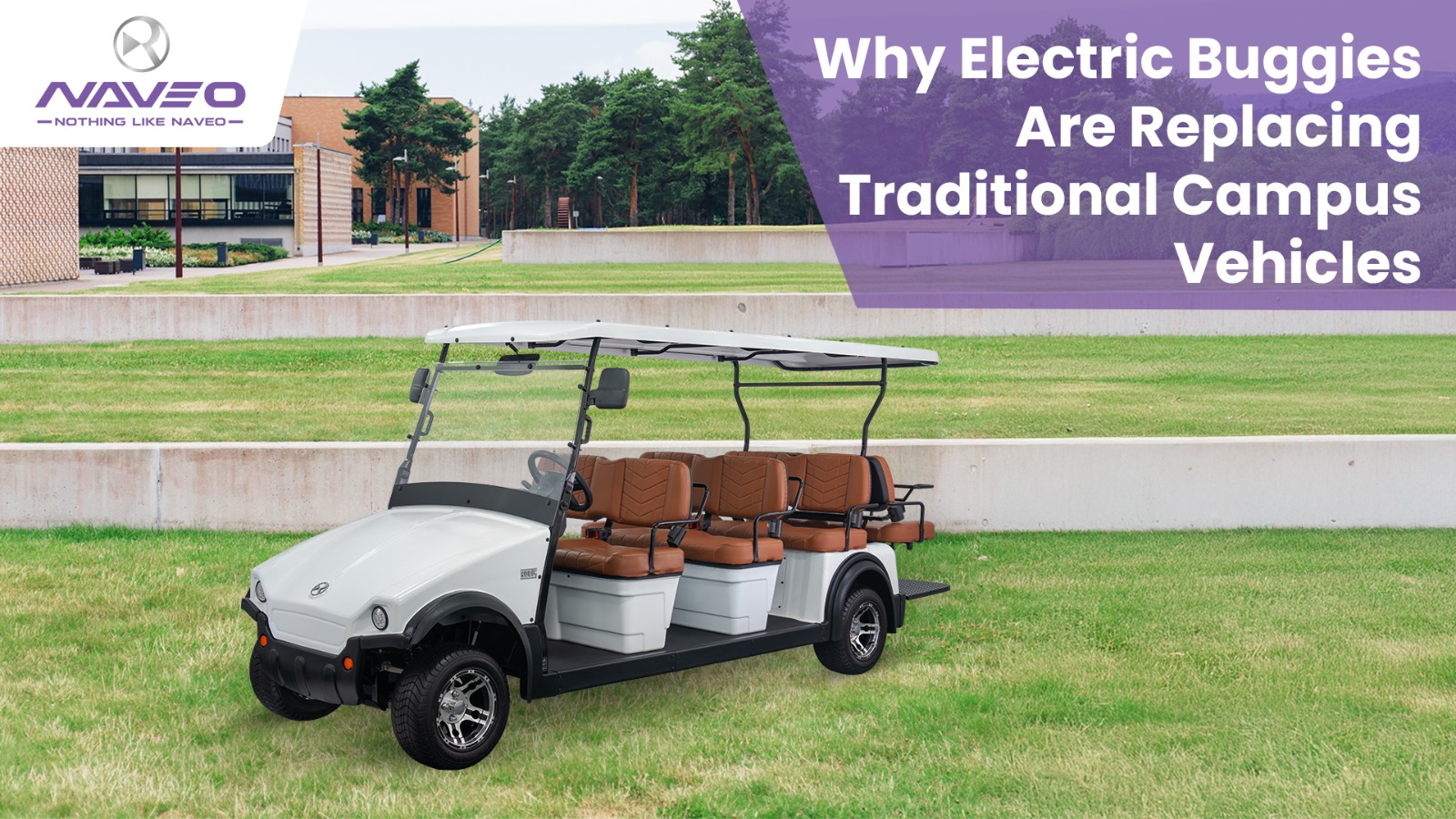 Why Electric Buggies Are Replacing Traditional Campus Vehicles