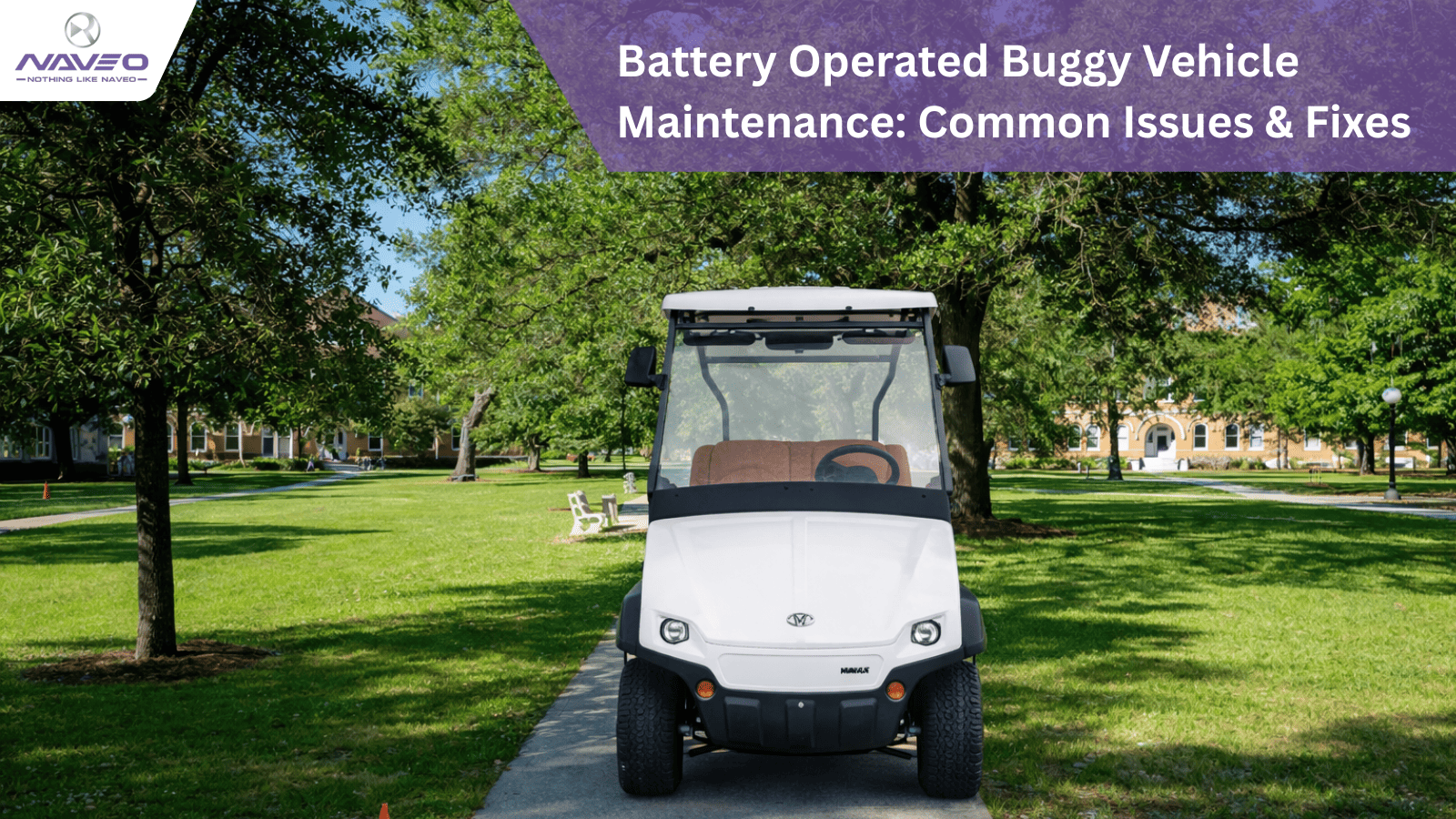 Battery Operated Buggy Vehicle Maintenance: Common Issues & Fixes